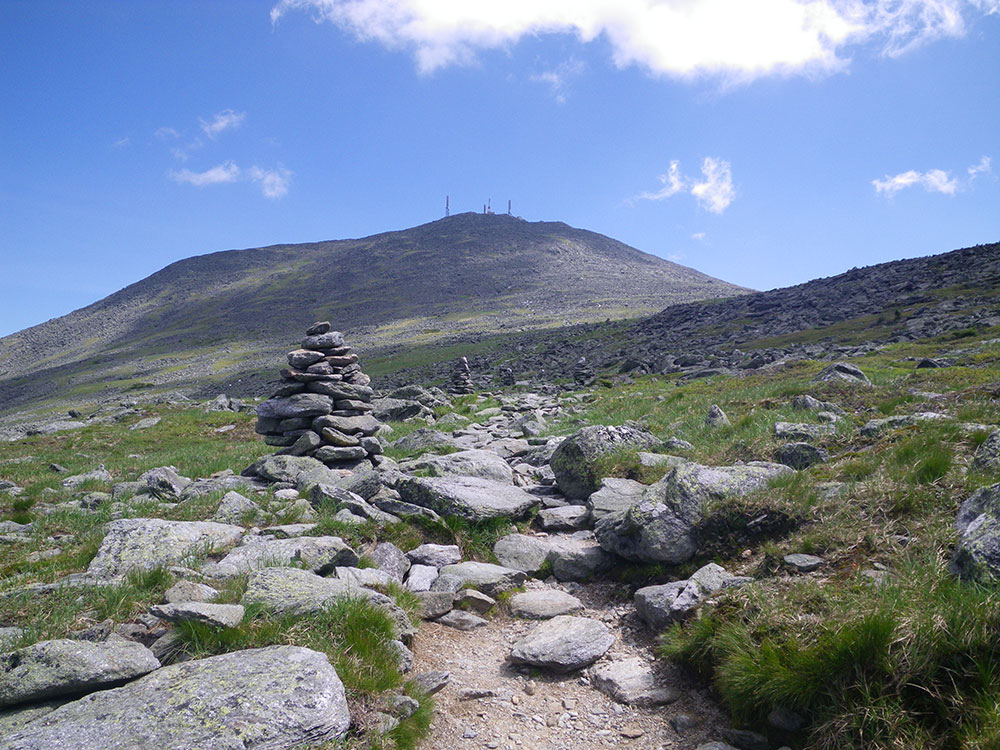 looking toward Mt Washington summit