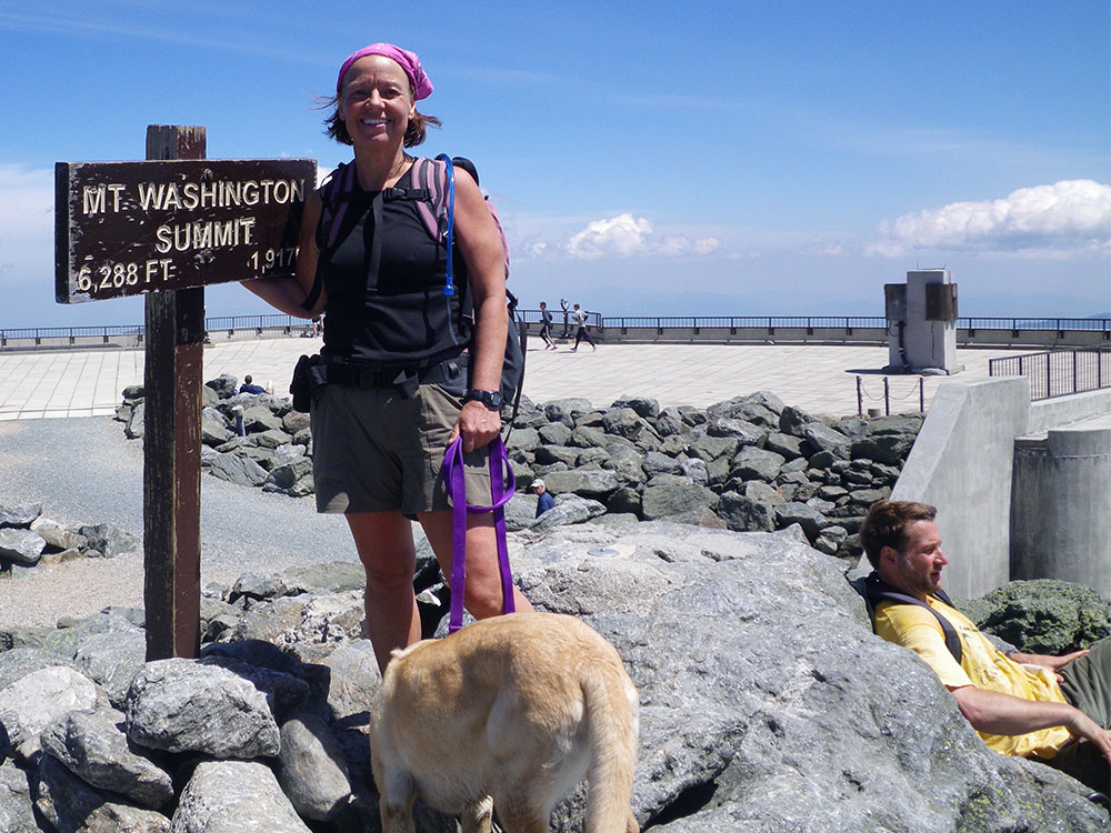 hiker and yellow lab oat Mt Washington summit sign