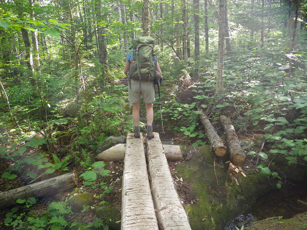 Pat hiker walking on bog bridge