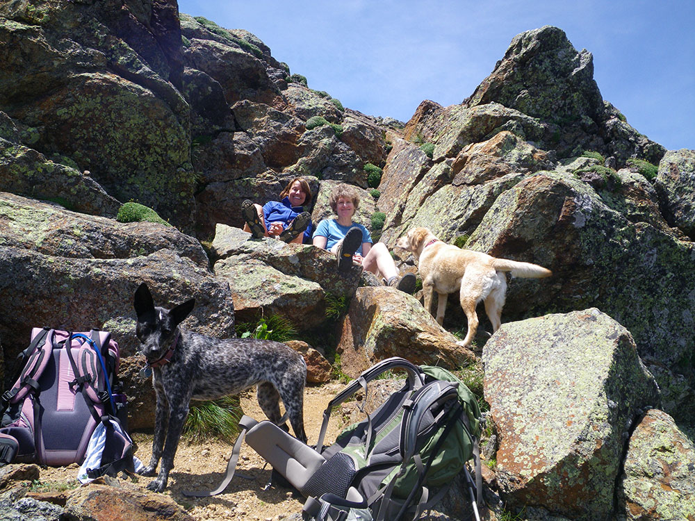 Pat, Nancy, Dejah and Pinta two hikers and two dogs posing on a rock