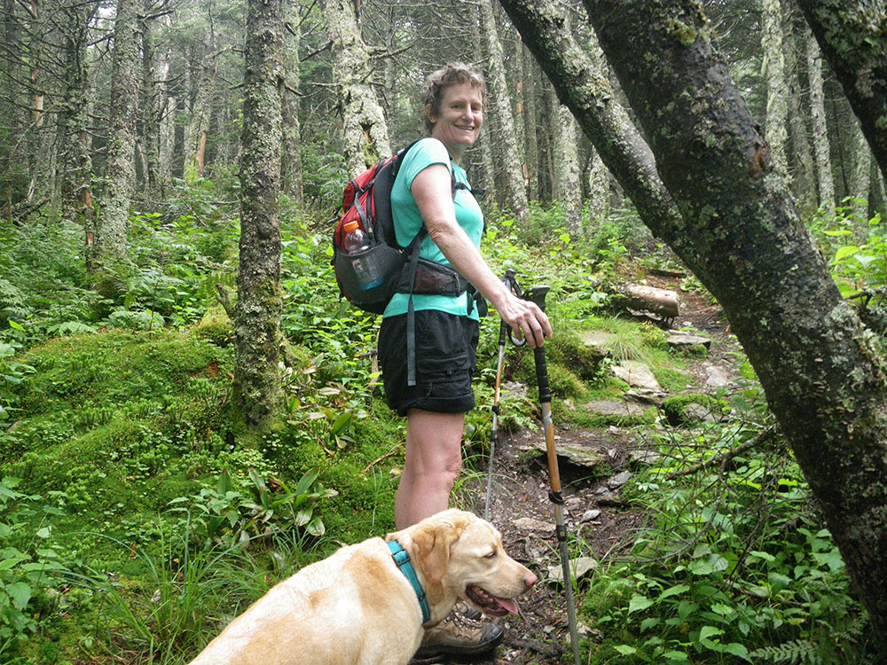 hiker and yellow lab hiking through deciduous forest