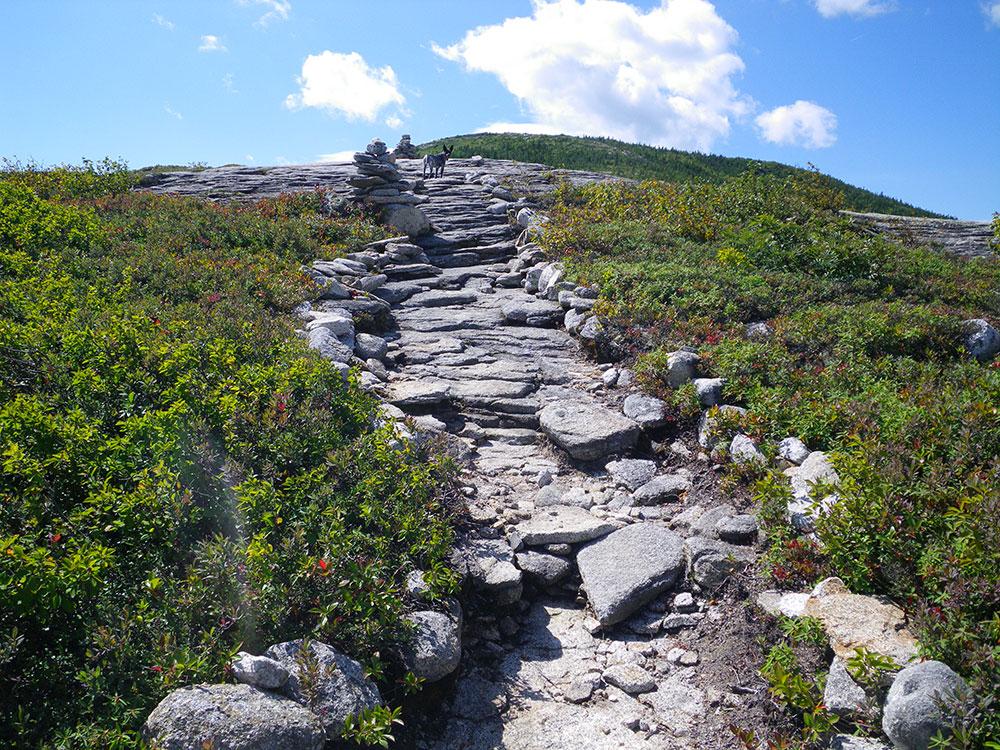 trail climbing to the summit