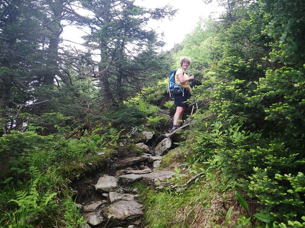 hiker on rocky stairs stepping up the trail