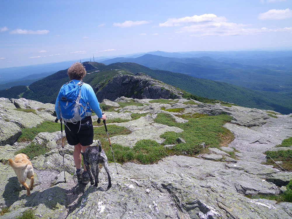 hiker and two dogsdescending from the top