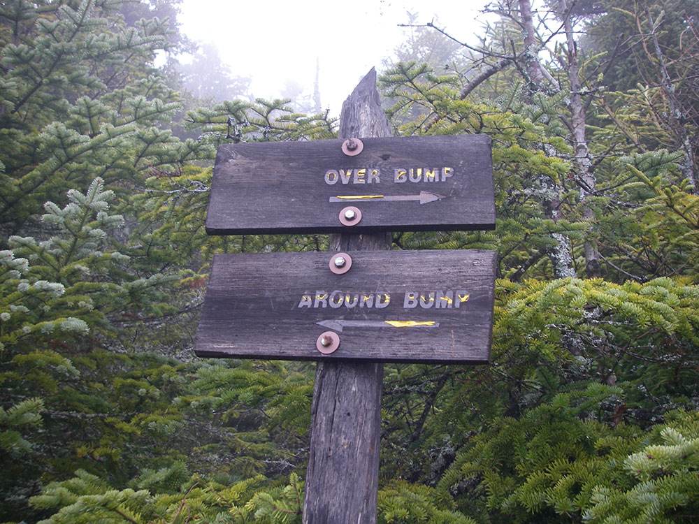 trail sign indicating a choice to the hiker
