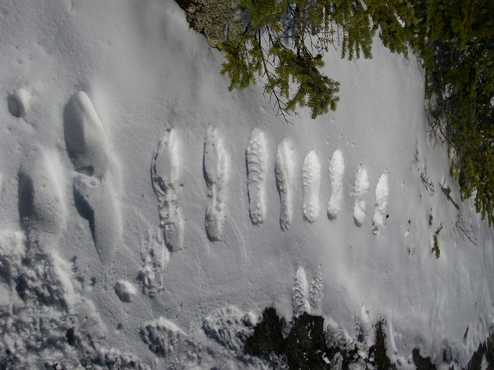 hiker side steps in the snow