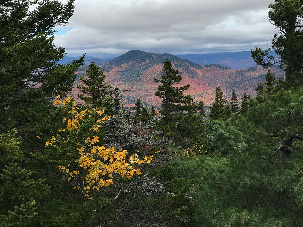 View view of distant mountains in fall