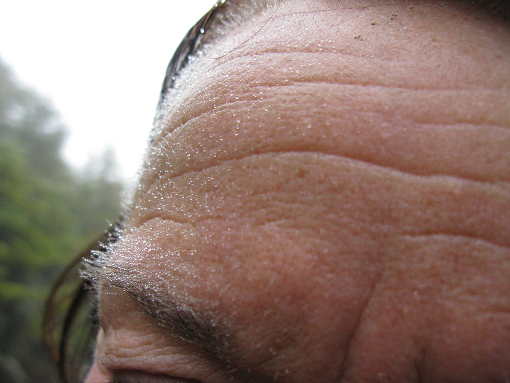 mist clinging to the fine hairs on a woman's forehead