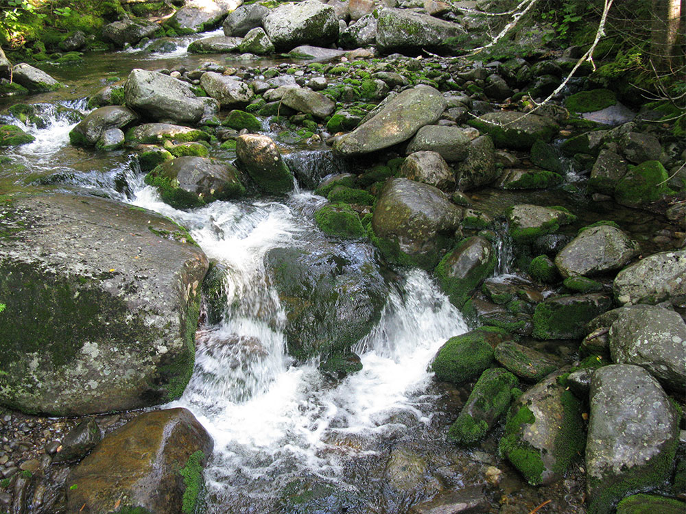 small waterfall in the middle of a stream