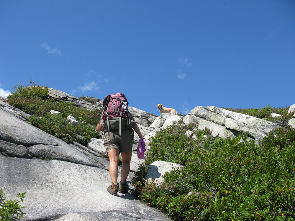 hiker climbing up rock