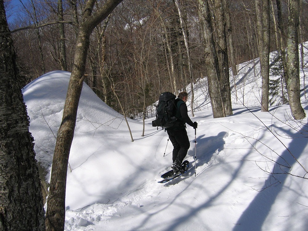 hiker snowshoeing on snowy trail