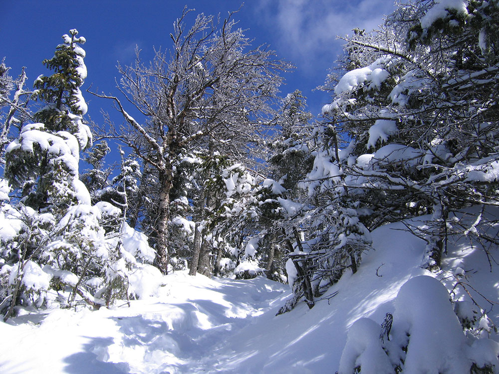 snowing trail ascending
