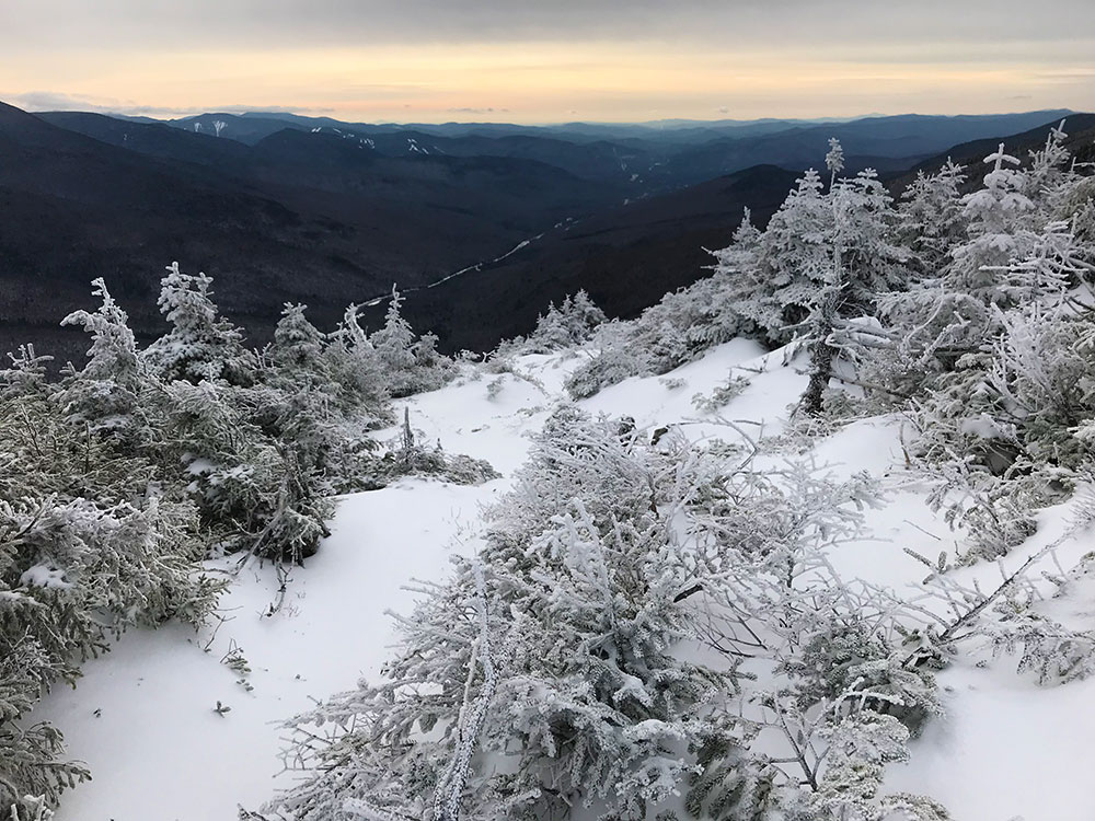 low sun offers a splash of yellow to otherwise grey snowy scene above tree line