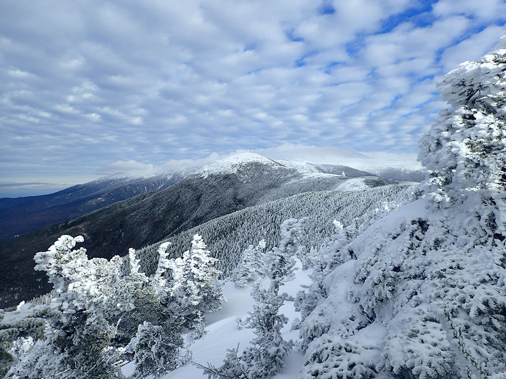 view of Mt Eisenhower in winter