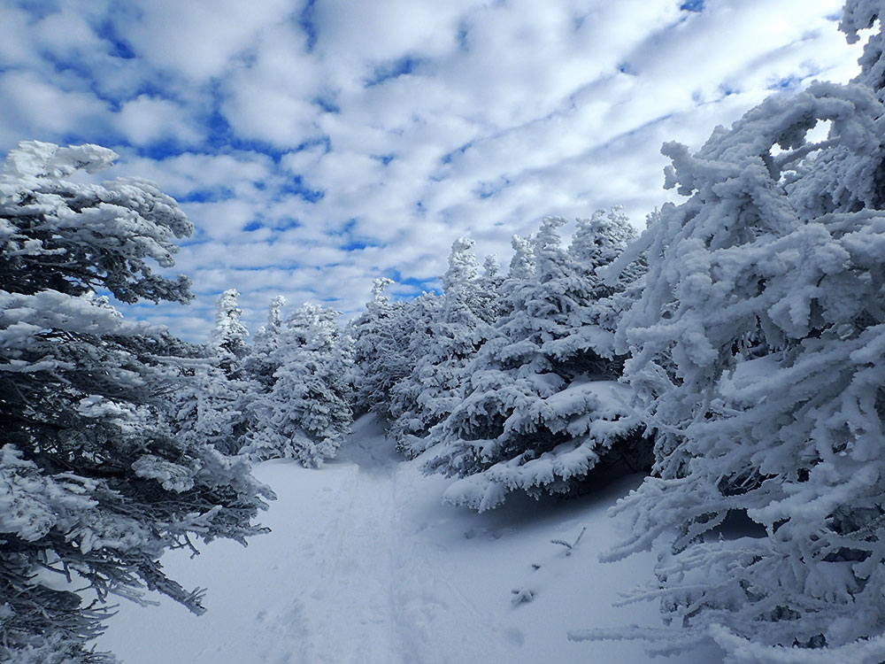 view looking up on snow-covered trail leading to the summit