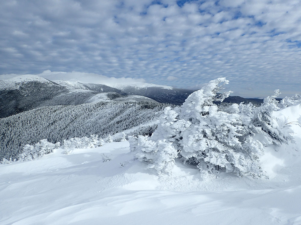 view of Mt Eisenhower in winter from the south