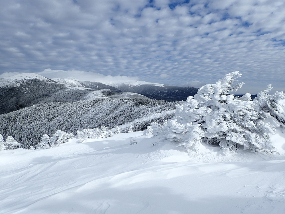 view of Mt Eisenhower above tree line in winter