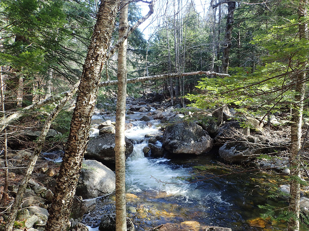 waterfall and swimming hole in Pond Brook