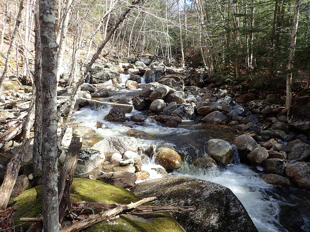 fast flowing stream in the northeast