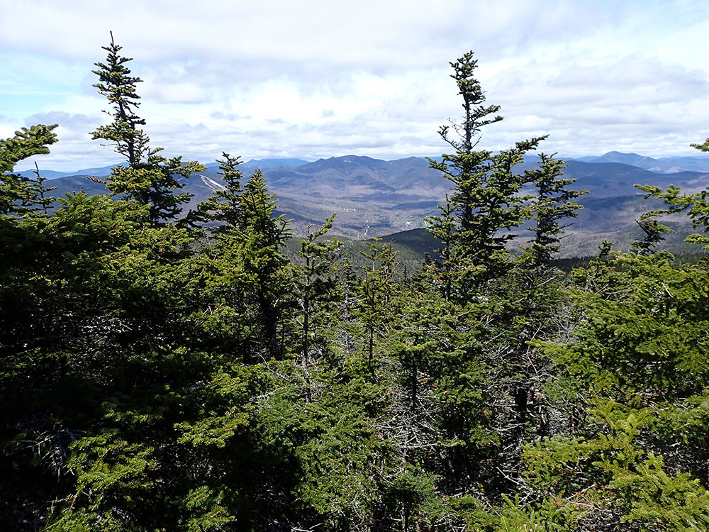 view from the summit of Sandwich Dome