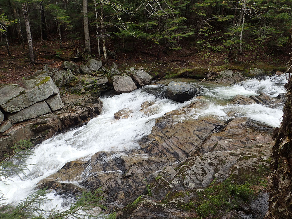 Fast Moving Stream fast moving stream