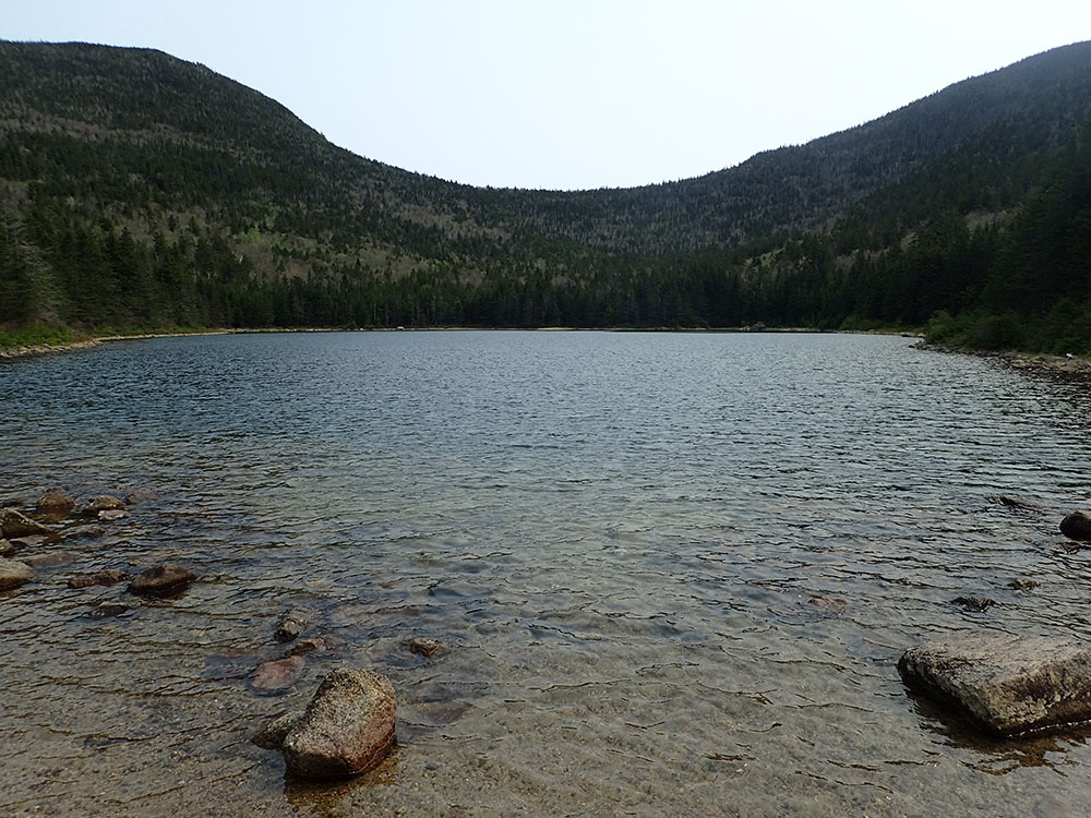 pond looking toward a notch in the mountains