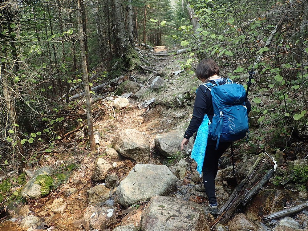 hiker on a wet, rocky trail