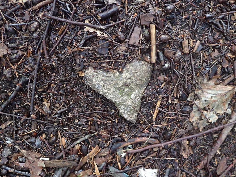 Heart Rock heart rock