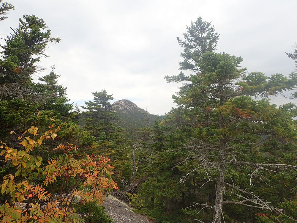 Chocorua Summit Chocorua summit peaking up from fall trees