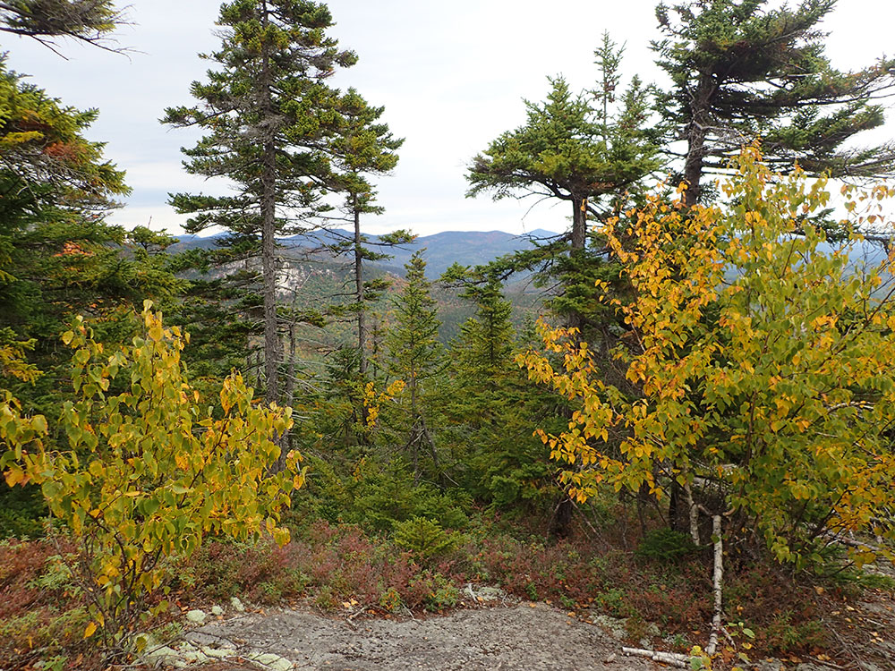 View fall colors seen from ledges on the way up a mountain