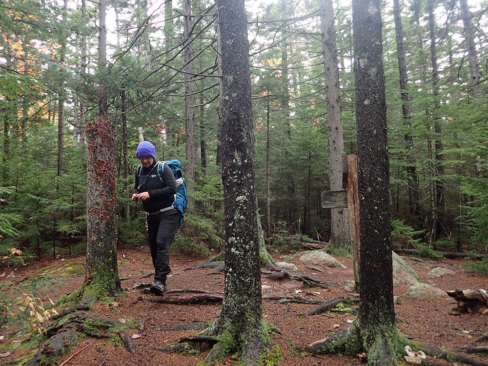 Nancy hiker on the Carter Ledge Trail
