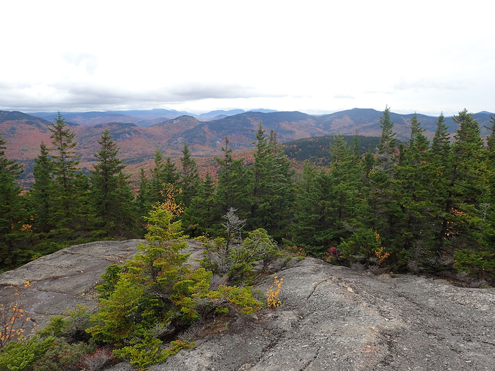 View view of distant mountains from tree line