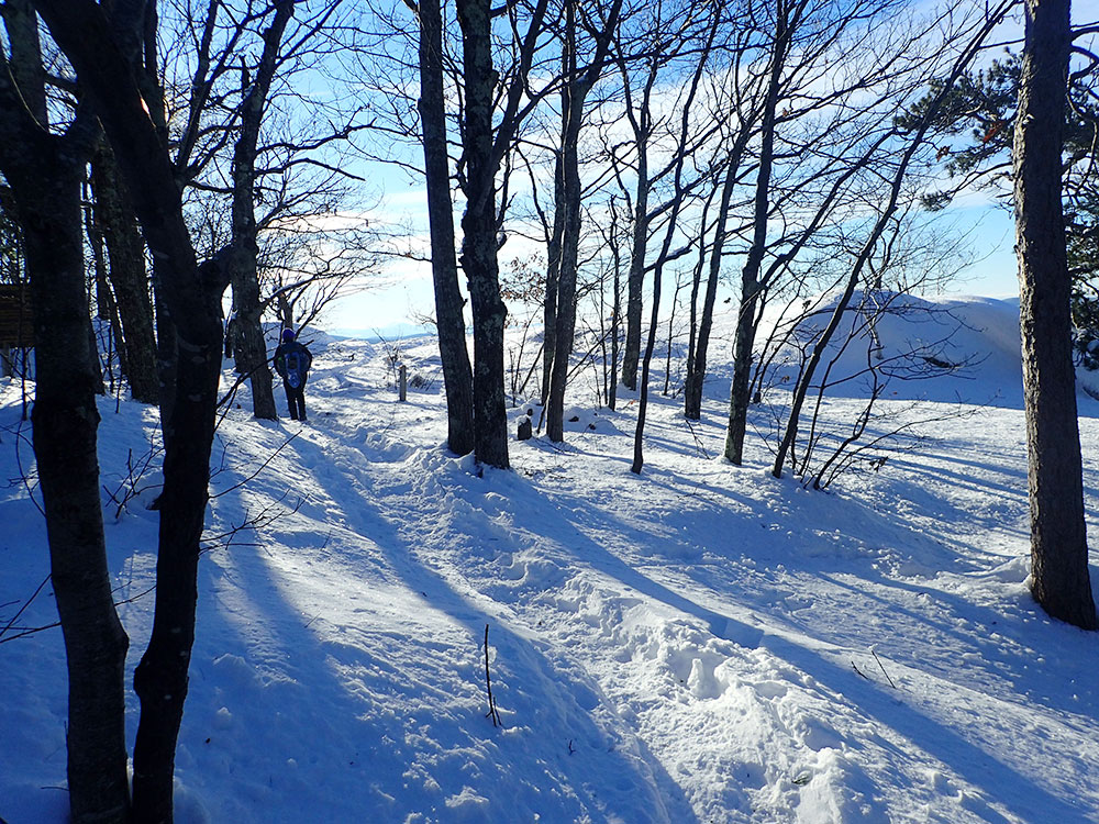 snowshoe packed trail in winter