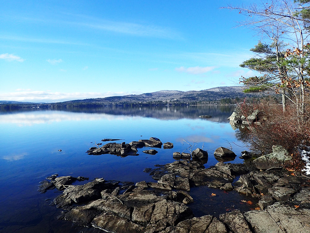 the shore of Squam Lake in NH