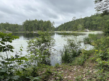 pond from trail